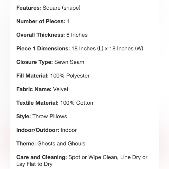 NWT Skull Throw Pillow - Picture 4 of 4